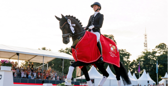 Design ohne Titel (52)